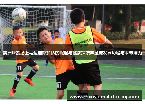 美洲杯赛场上马达加斯加队的崛起与挑战探索其足球发展历程与未来潜力